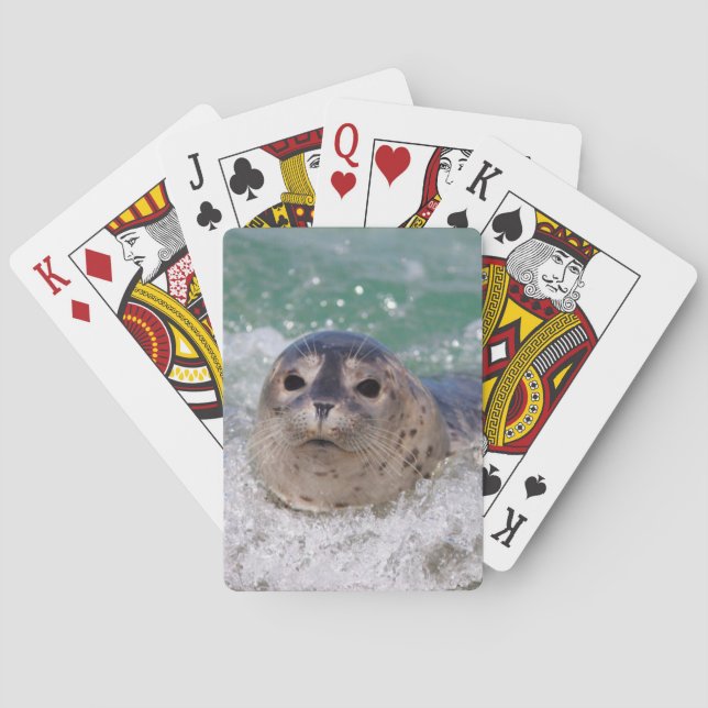 Jeu De Cartes A baby seal surfing (dos)