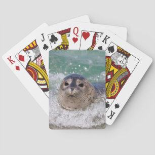 Jeu De Cartes A baby seal surfing