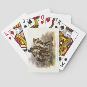 Jeu De Cartes A Blackfoot Indian on Horseback, plate 19 from vol