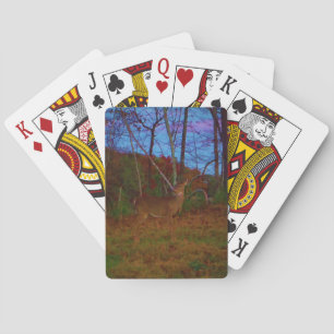 Jeu De Cartes A Deer : Gold Red Green et Blue