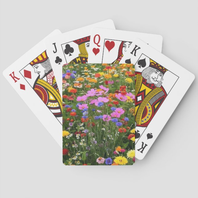 Jeu de Cartes à Jouercle Champ Entièrement Rempli  (dos)