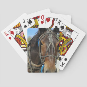 Jeu De Cartes À la bibliothèque, Amish Horse et Buggy