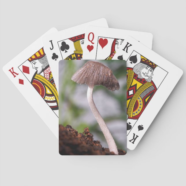 Jeu De Cartes A Mushroom (dos)