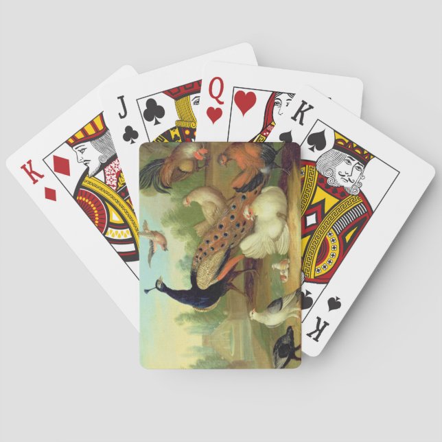 Jeu De Cartes A Peacock, Doves, Chickens et a Jay dans un parc (dos)