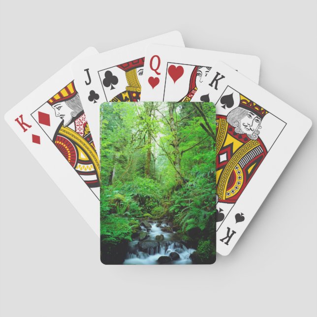 Jeu De Cartes A stream en old-growth forest (dos)