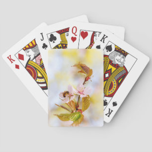 Jeu De Cartes Abeille Sur Une Fleur De Cerise