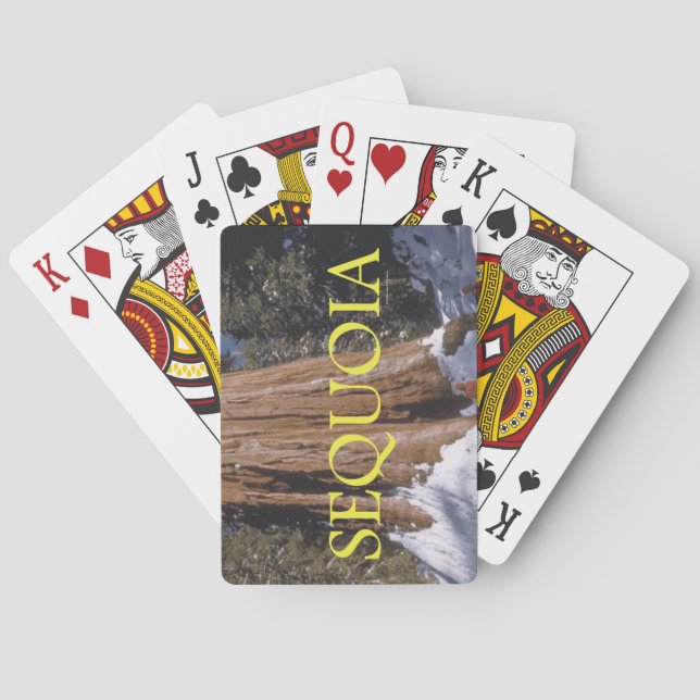 Jeu De Cartes ABH Sequoia (dos)