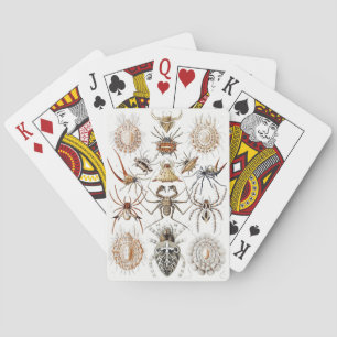 Jeu De Cartes Academia Noire Haeckel Vintage Araignée Symétrie A