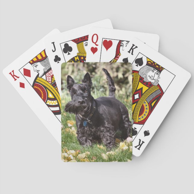 Jeu De Cartes Ach (dos)