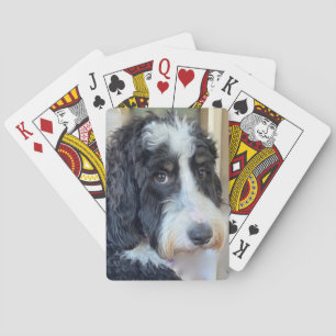 Jeu De Cartes Adorable Bernedoodle