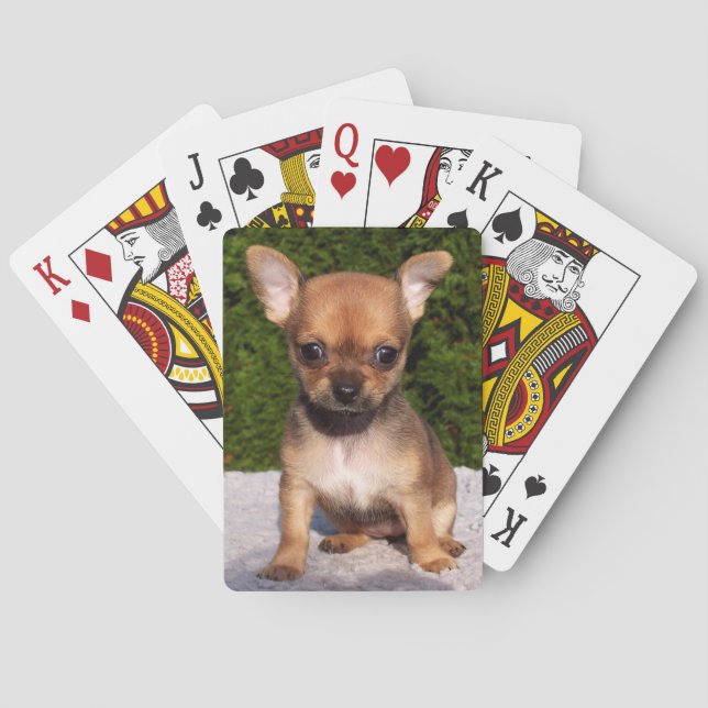 Jeu De Cartes Adorable Chihuahua Chien Chiot (dos)
