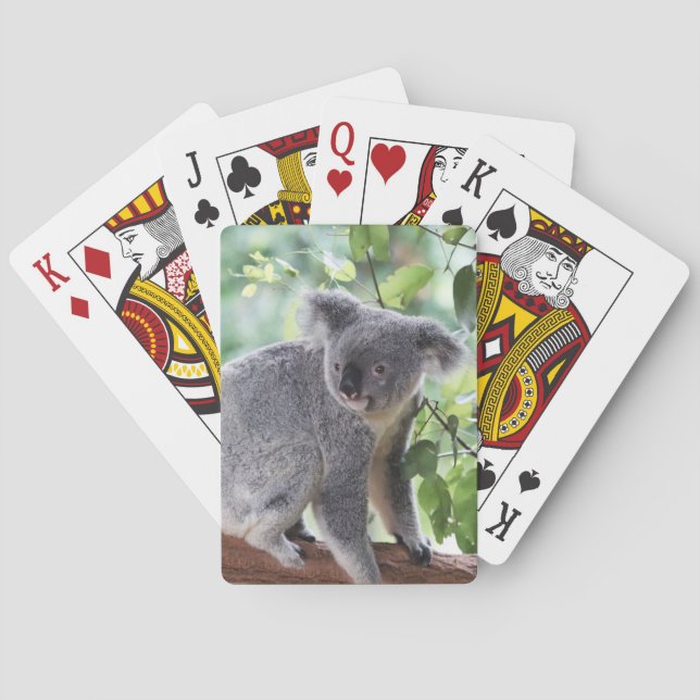 Jeu De Cartes Adorable Ours de Koala Feuilles verts Faune (dos)