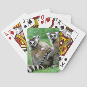 Jeu De Cartes Afrique, Madagascar, Antananarivo, Tsimbazaza