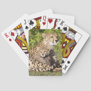 Jeu De Cartes Afrique. Tanzanie. Guépère mère et petits 2