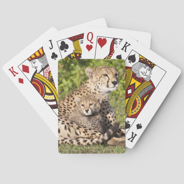 Jeu De Cartes Afrique. Tanzanie. Guépère mère et petits 2 (dos)