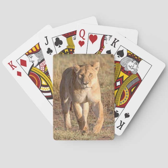 Jeu De Cartes Afrique, Tanzanie, Serengeti. Lion et lionne (dos)
