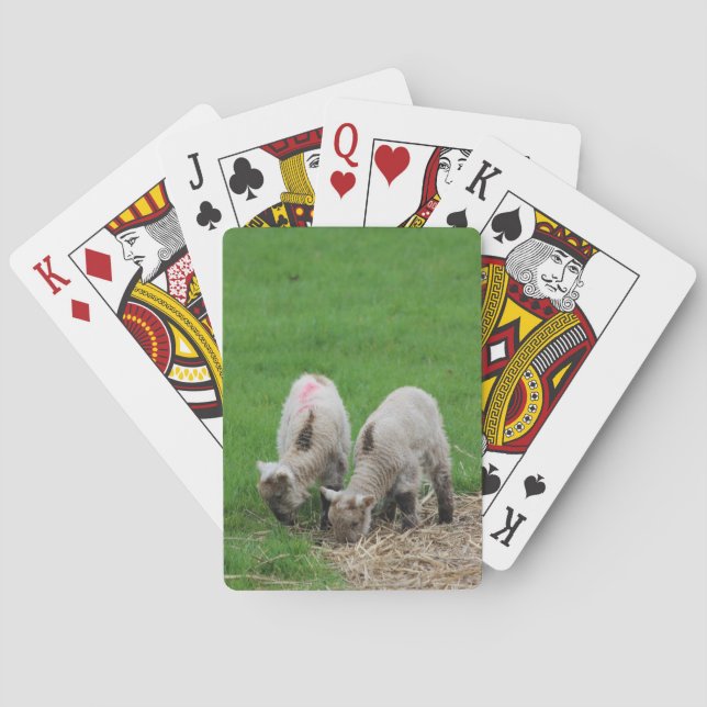Jeu De Cartes Agneaux de ressort (dos)
