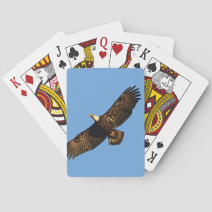 Jeu De Cartes Aigle à tête blanche