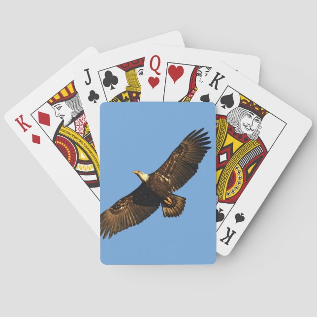Jeu De Cartes Aigle à tête blanche (dos)