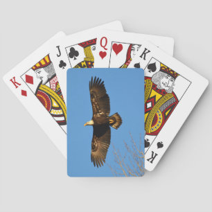Jeu De Cartes Aigle à tête blanche qui s'envole au-dessus des ar