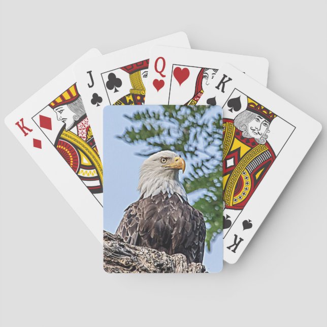 Jeu De Cartes Aigle à tête blanche sur une branche d'arbre (dos)