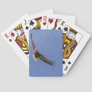 Jeu De Cartes Aigle chauve