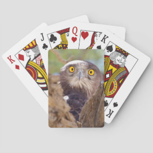Jeu De Cartes Aigle huppard