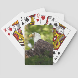 Jeu De Cartes Aire de repos de l'aigle royal