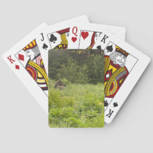 Jeu De Cartes Alaska Moose Poker Card Deck