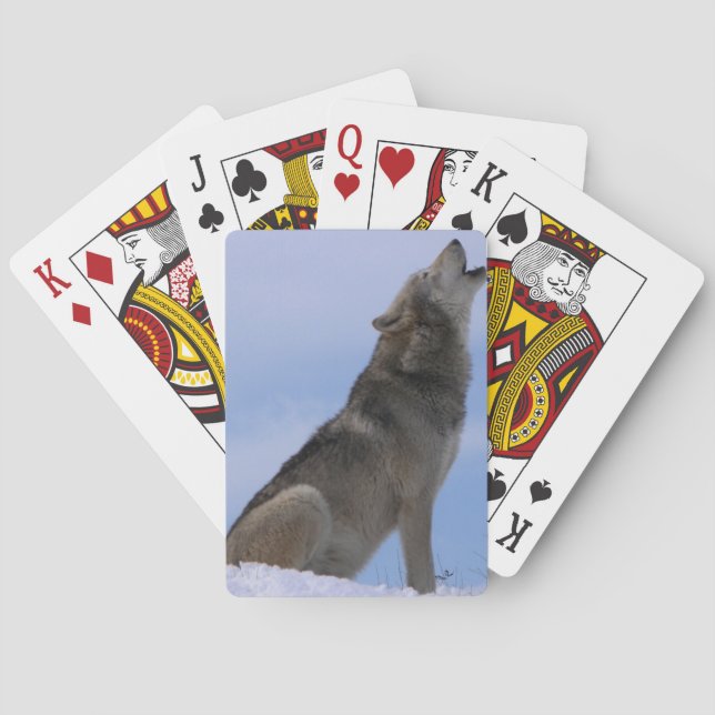 Jeu De Cartes Alaskan Timber Wolf (dos)