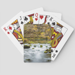 Jeu De Cartes Alley Springs Rapids