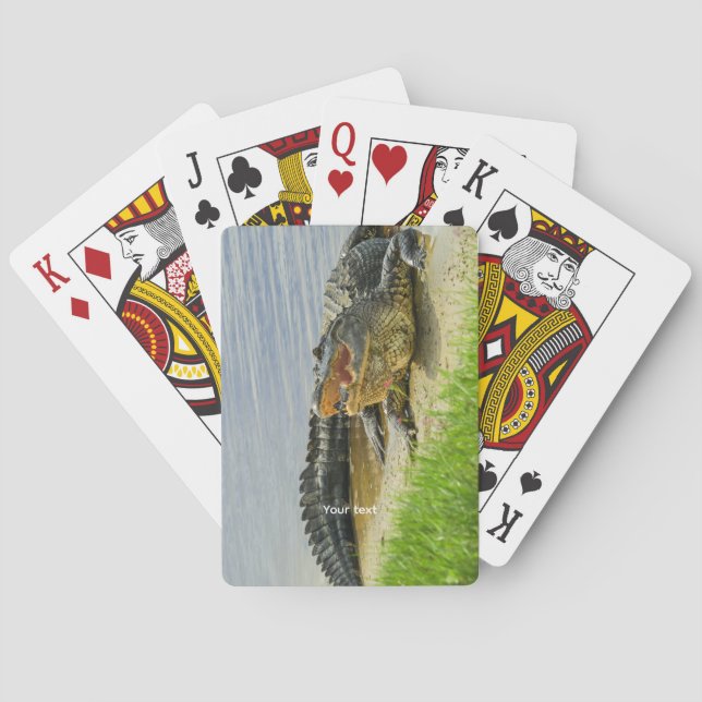 Jeu De Cartes Alligator américain de Floride (dos)