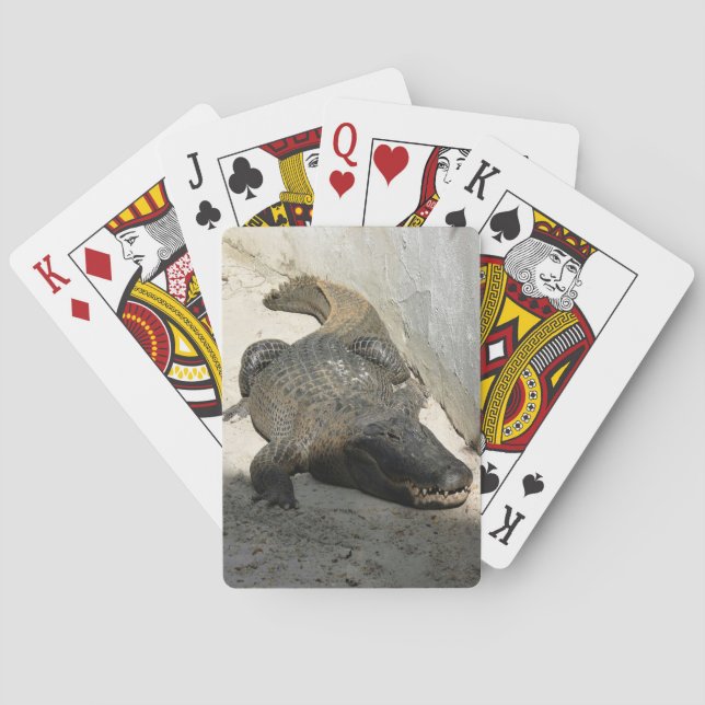 Jeu De Cartes Alligator, Fort Lauderdale, Floride (dos)
