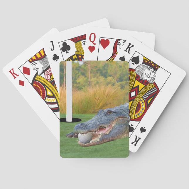 Jeu De Cartes Alligator, mensonge dangereux dans le golf (dos)