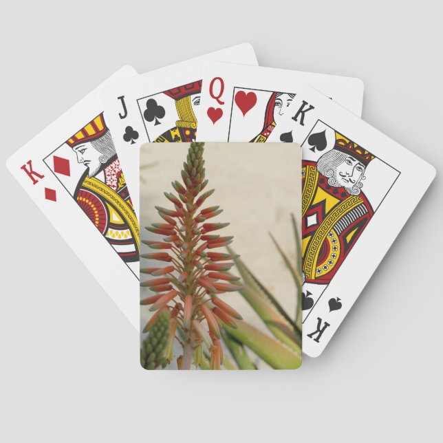 Jeu De Cartes Aloe vera flesom Jouer aux cartes (dos)