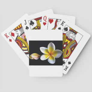 Jeu De Cartes Aloha Frangipani Hawaii Blossoms Plumerias