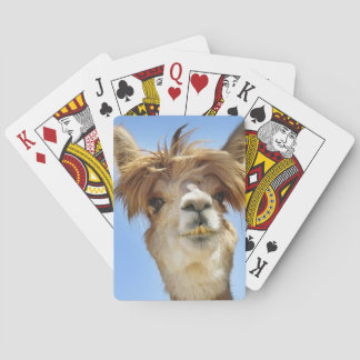 Jeu De Cartes Alpaca aux cheveux fous
