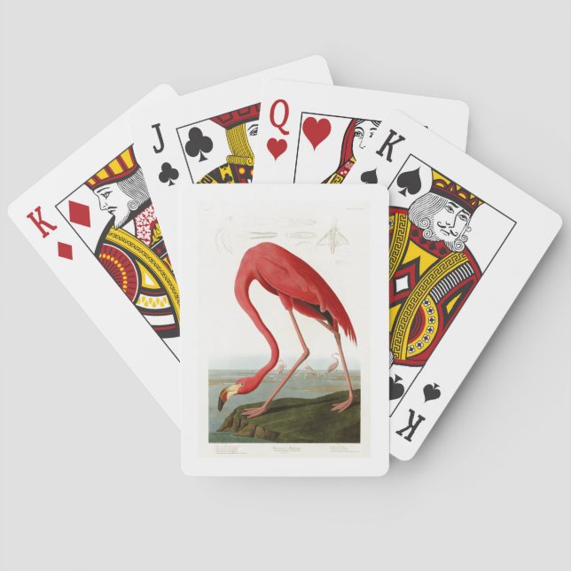 Jeu De Cartes American Flamingo John Audubon Birds of America (dos)