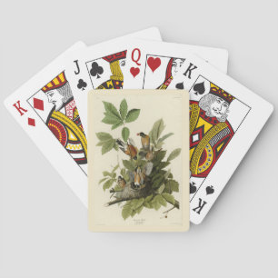 Jeu De Cartes American Robin from Audubon's Birds of America