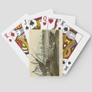 Jeu De Cartes American Snipe (Wilson) Audubon's Birds of America