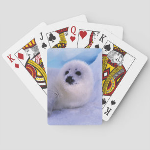 Jeu De Cartes Amérique du Nord, Canada, golfe du Saint-Laurent