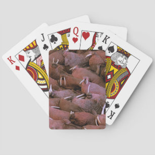 Jeu De Cartes Amérique du Nord, États-Unis, Alaska, Yukon Delta