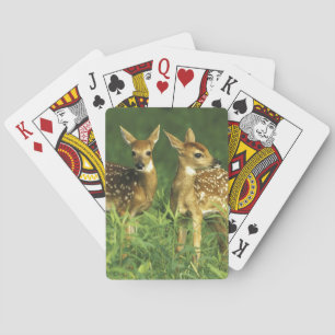 Jeu De Cartes Amérique du Nord, États-Unis, Minnesota. Cerf à qu