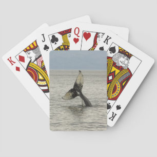 Jeu De Cartes Amérique du Nord, USA, AK, Passage intérieur. Brou