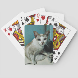 Jeu De Cartes Amie de chats siamois