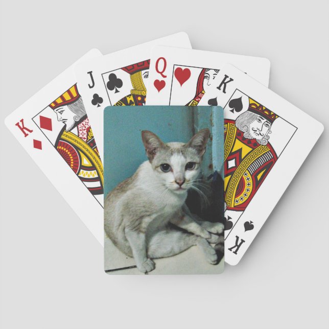 Jeu De Cartes Amie de chats siamois (dos)