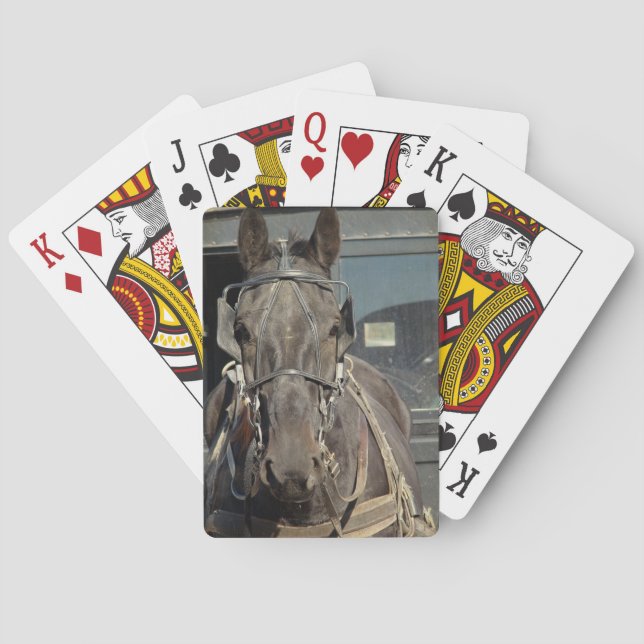 Jeu De Cartes Amish Buggy Horse (dos)