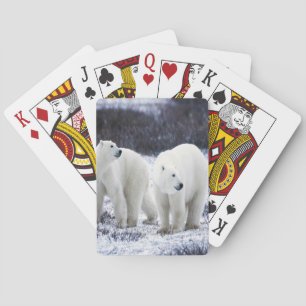 Jeu De Cartes Amour de l'ours polaire