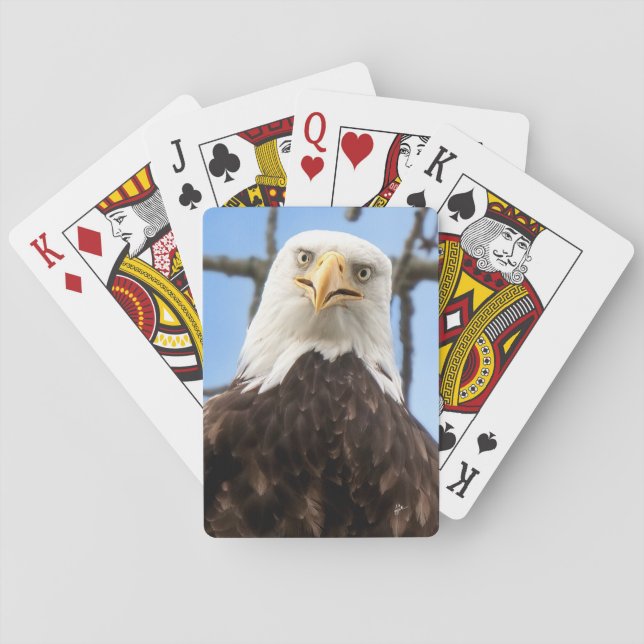 Jeu De Cartes Amusante American Bald Eagle Face Faune Photo (dos)