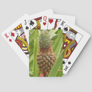 Jeu De Cartes Ananas sauvage Fruit tropical dans la nature